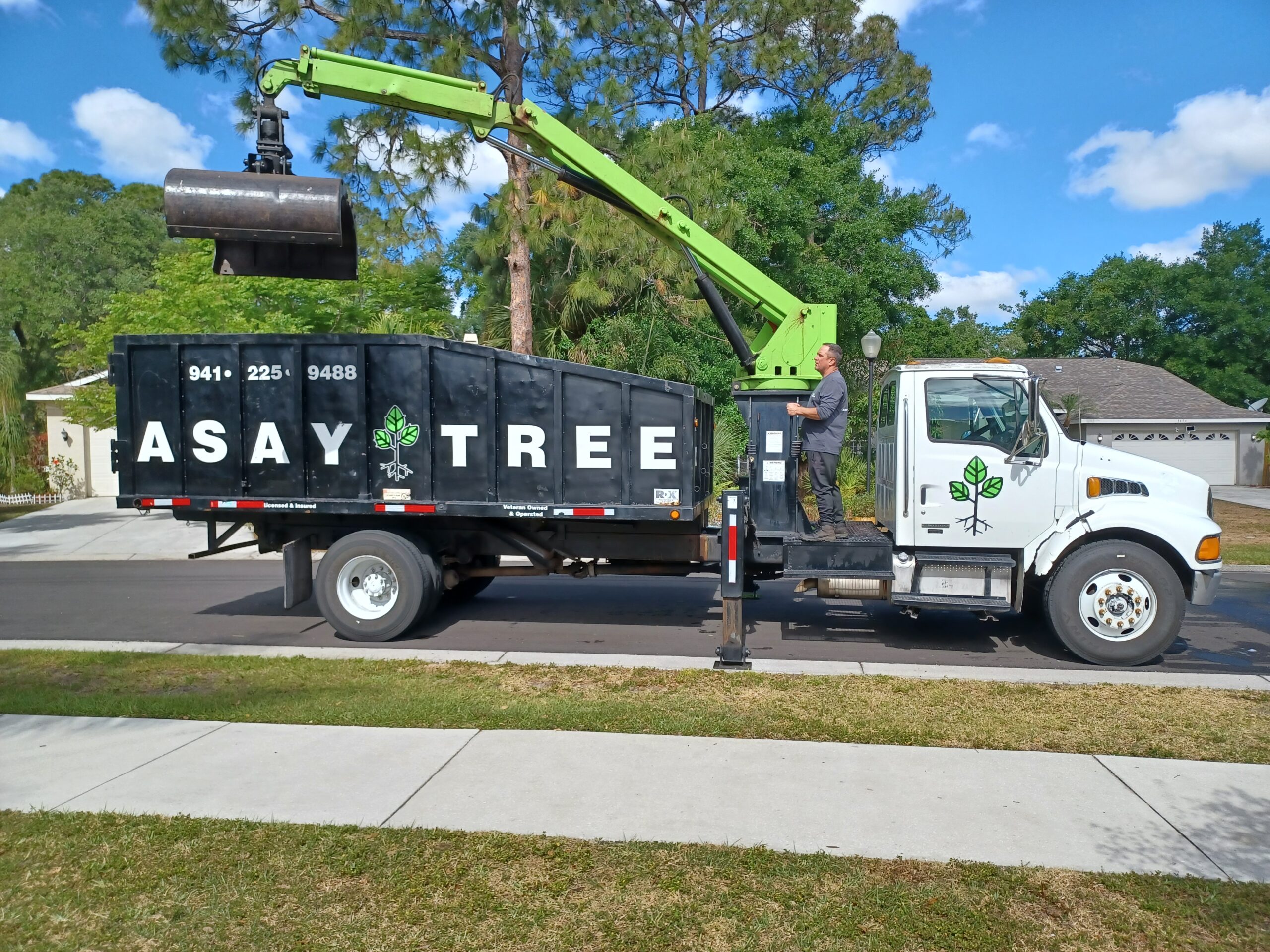 Asay Tree & Landscaping | Sarasota, Florida | Tree & Landscaping Services | Veteran Owned