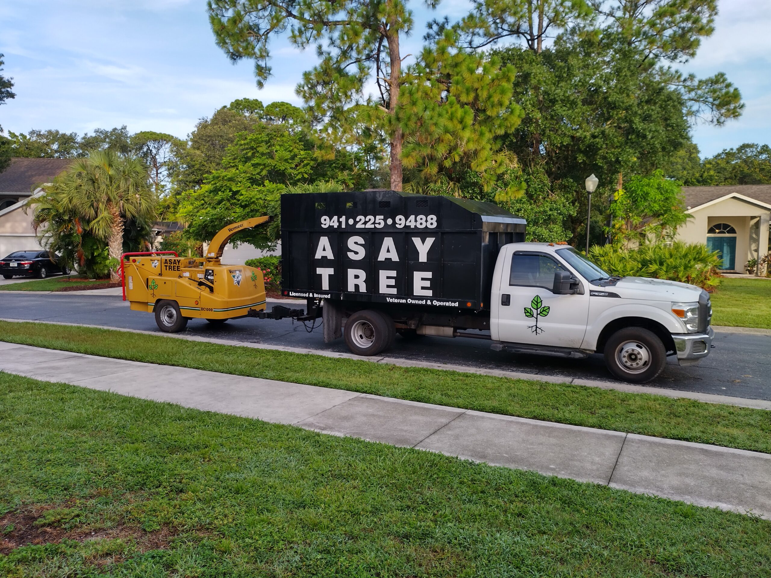 Asay Tree & Landscaping | Sarasota, Florida | Tree & Landscaping Services